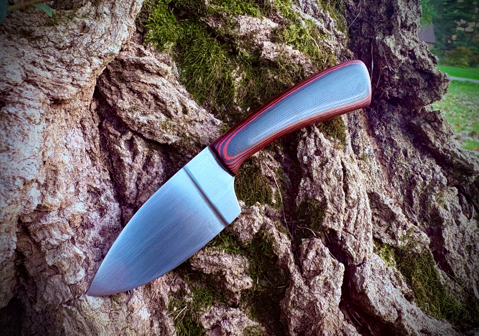 Knife with red and black G10 handle resting on mossy bark